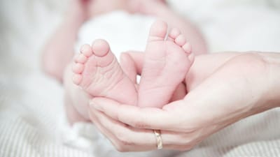 Mulher que esperava sétuplos dá à luz nove bebés - TVI