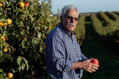 Chuva de outono alivia agricultores algarvios mas não afasta ameaça de racionamento - TVI