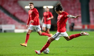 VÍDEO: Darwin Núñez dá vantagem ao Benfica após bela jogada coletiva - TVI