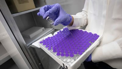 Covid-19: vacina da Pfizer-BioNTech pode ser aprovada esta segunda-feira para a União Europeia - TVI