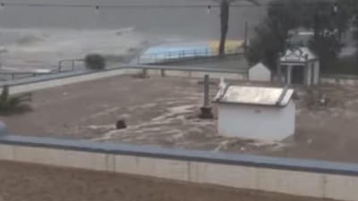 Ponta Delgada viveu hoje uma "tragédia", diz autarca sobre temporal na Madeira - TVI