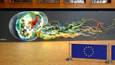Arte urbana de Vhils e Bordalo II dão cor à presidência portuguesa da UE - TVI