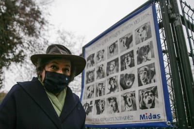 Ana Gomes acusa Marcelo de "desvalorizar eleições" e deixa um apelo - TVI