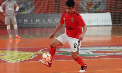 Futsal: jogador do Benfica fraturou a clavícula no treino - TVI