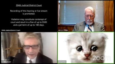 Vídeo viral: o dia em que um "gato foi advogado" - TVI
