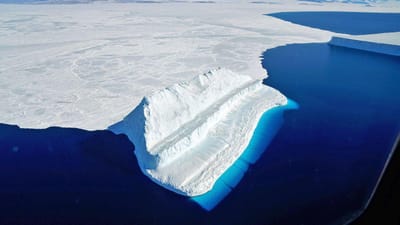 Expedição descobre “criaturas estranhas” sob o gelo da Antártica - TVI