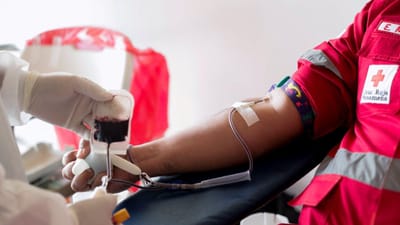 Portugal perdeu 40 mil dadores de sangue regulares na última década - TVI
