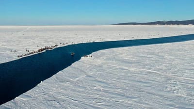 Validada temperatura recorde de 38º no Ártico: cidade siberiana com calor "mediterrânico" - TVI