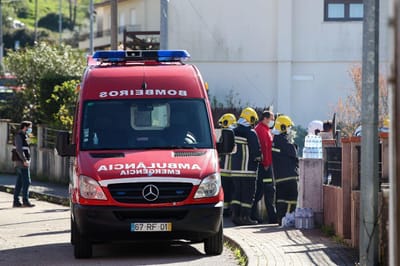Vila Real: dezenas de gatos escapam às chamas em apartamento - TVI