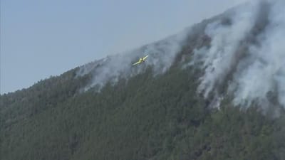 GNR identificou suspeito de fogo florestal em Seia - TVI