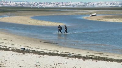 Autoridades procuram homem desaparecido no rio Tejo - TVI