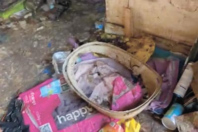 Menino de quatro anos retirado de casa cheia de lixo e com cadáver animal - TVI
