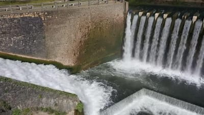 Descargas de efluentes domésticos poluem linha de água em Aveiro - TVI