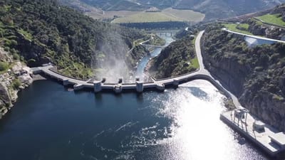 Estado não concedeu qualquer novo direito na venda de barragens - TVI
