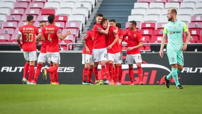 Benfica-Marítimo, 1-0 (destaques) - TVI