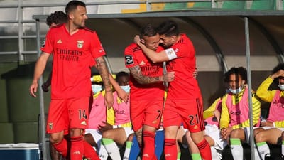 Tondela-Benfica, 0-2 (destaques) - TVI