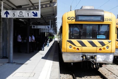 Zero defende "grande investimento na ferrovia" para alinhar Portugal com UE - TVI