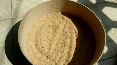 Já pode usar farinha derivada de larvas para cozinhar - TVI