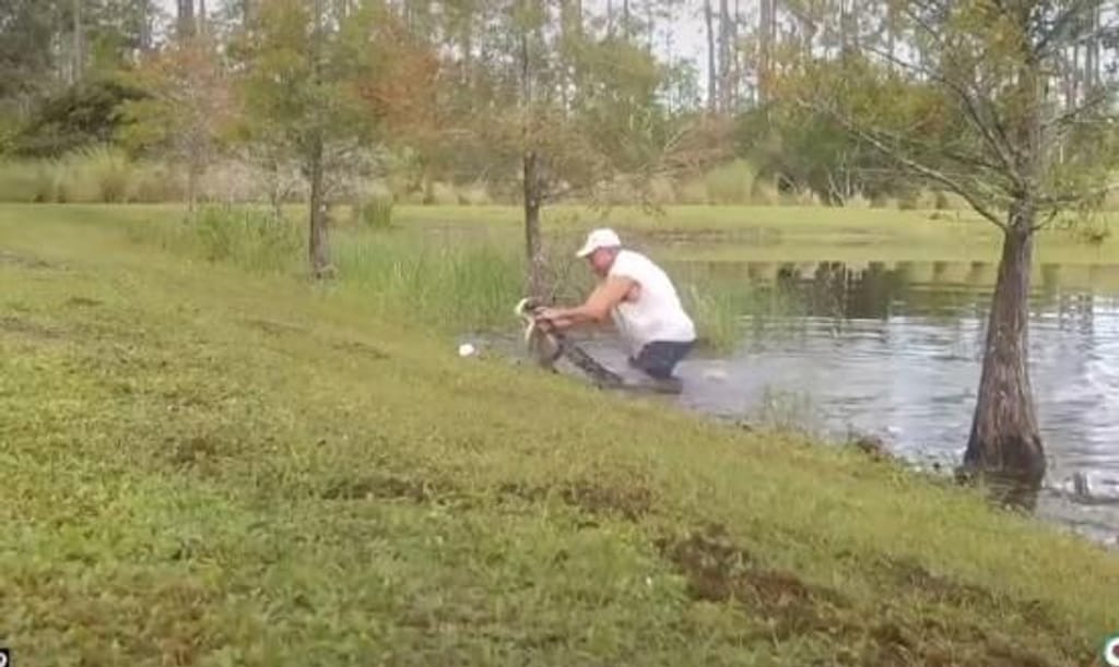 Homem atira-se à água e luta com jacaré gigante para salvar o cão