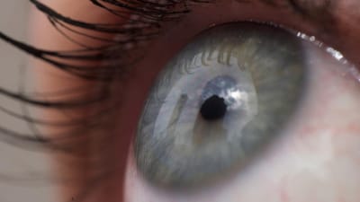 Avanço na ciência devolve visão parcial a homem cego há 40 anos - TVI