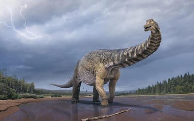 Maior dinossauro descoberto na Austrália identificado como uma nova espécie - TVI