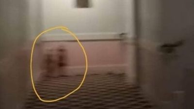 Caçadores de fantasmas dizem ter filmado espíritos de gémeas do The Shining em “hotel assombrado” - TVI