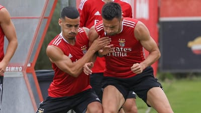 Benfica: Samaris foi a Madrid consultar especialista que o operou - TVI