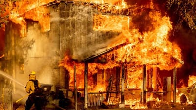 Temperaturas recorde e vaga de incêndios levam Canadá e EUA a tomar medidas inéditas - TVI