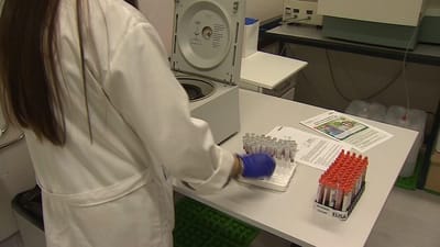 27 mil vacinas contra a covid-19 administradas hoje em Portugal - TVI