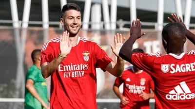 Boavista pretende contratar Vukotic ao Benfica  - TVI
