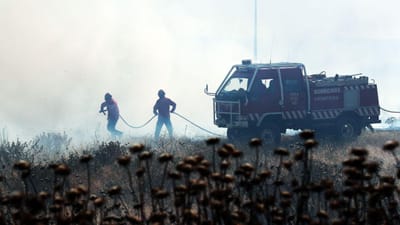 Dominado o fogo que consome pasto e eucaliptos em Nisa - TVI