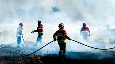 Proteção Civil e Ordem dos Psicólogos lançam manual para apoiar bombeiros - TVI