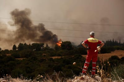 "Com as alterações climáticas os incêndios tendem a ser mais frequentes e com intensidade cada vez mais elevada" - TVI