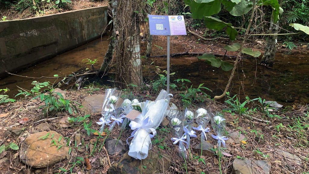 Turista suíça encontrada morta na Tailândia