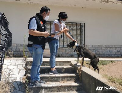 PSP resgata pitbull vítima de maus-tratos em Tomar - TVI