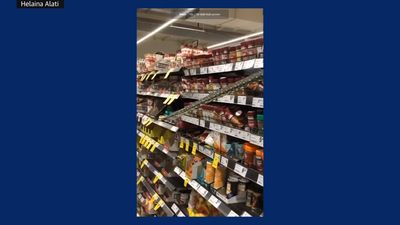 Píton surpreende clientes de supermercado em Sydney - TVI