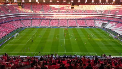 Benfica: SAD apresenta resultado negativo de 17,4 milhões de euros - TVI