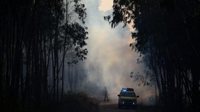 Risco de incêndios florestais vai aumentar 30% até 2050 e estudo até dá Portugal como exemplo - TVI