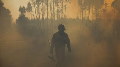 Homem "revoltado" por não poder ser bombeiro detido por suspeita de ter ateado incêndios em Valença - TVI
