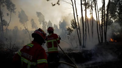 Dispositivo de combate a incêndios mantém-se ativo até final do mês - TVI