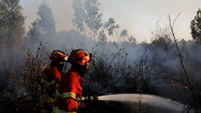 GNR já deteve 44 pessoas este ano pelo crime de incêndio florestal - TVI