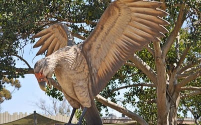 Investigadores descobrem fósseis de aves carnívoras gigantes na Argentina - TVI