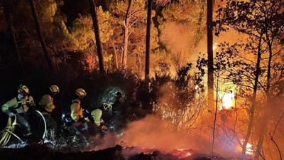 Incêndio obriga à retirada de cerca de 600 pessoas em Málaga - TVI