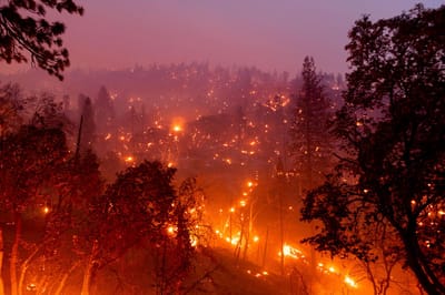 Incêndios obrigam ao encerramento do parque das gigantescas sequoias na Califórnia - TVI