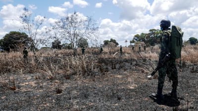 Acidente de viação mata 16 pessoas no sul de Moçambique - TVI