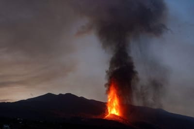 Vulcão Cumbre Vieja altera comportamento de animais: “Para eles é como uma guerra nuclear” - TVI