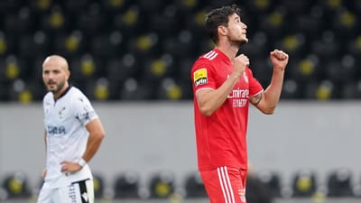 V. Guimarães-Benfica, 1-3 (destaques) - TVI