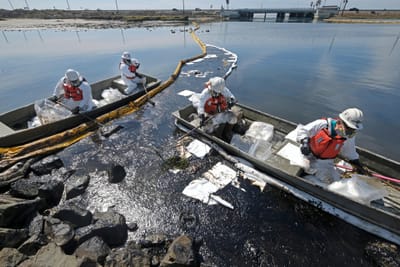 "Catástrofe": mais de 480 mil litros de crude ameaçam costa da Califórnia - TVI