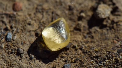 Casal encontra diamante amarelo de 4,38 quilates em parque norte-americano - TVI