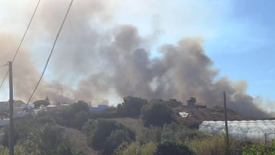 Três casas evacuadas após incêndio deflagrar em Sintra - TVI